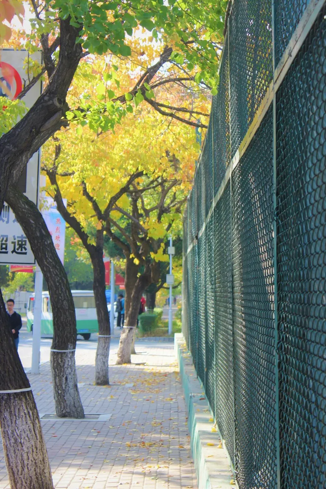 篮球训练计划表一周怎么写_1